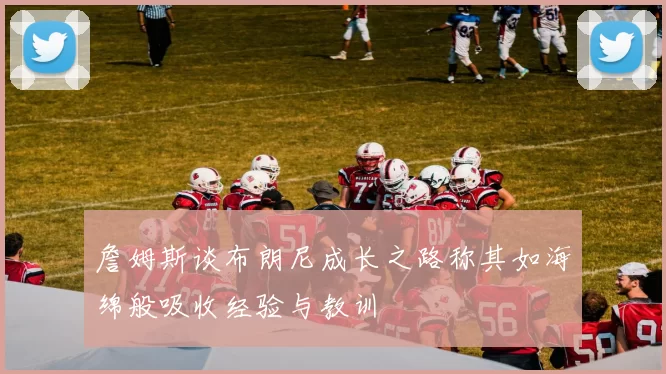 詹姆斯谈布朗尼成长之路称其如海绵般吸收经验与教训