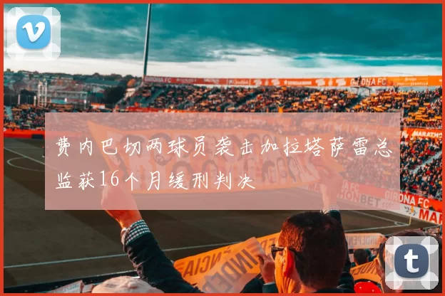 费内巴切两球员袭击加拉塔萨雷总监获16个月缓刑判决